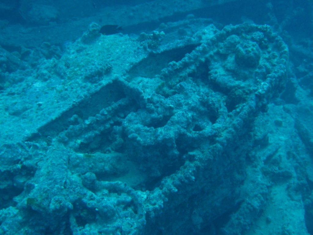 red-sea-diving Scuba Diving on a Red Sea Yacht Charter