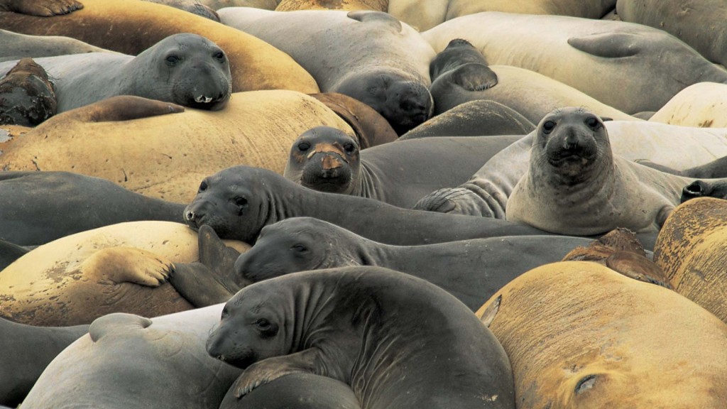 yacht-zoo-destinations-antarctica03