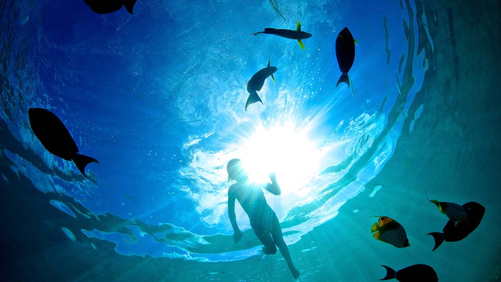 yacht-zoo-destinations-maldives05