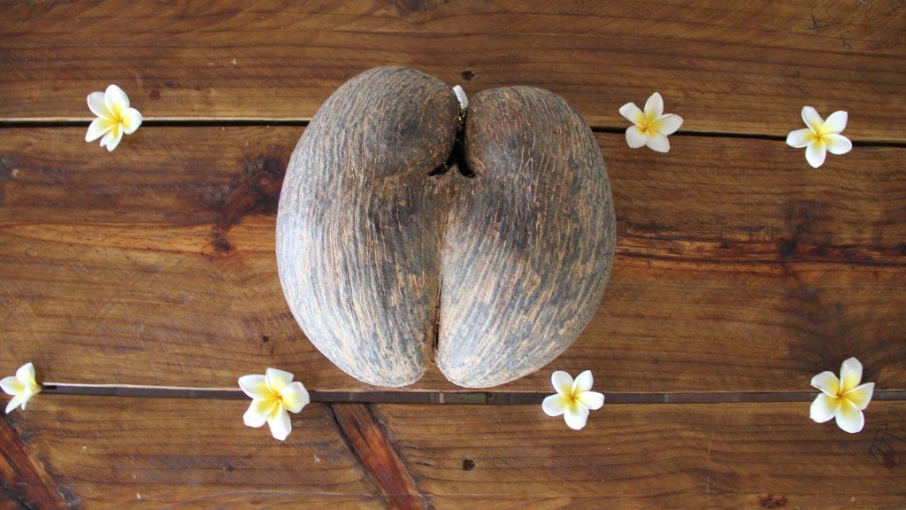 yacht-zoo-destinations-seychelles01