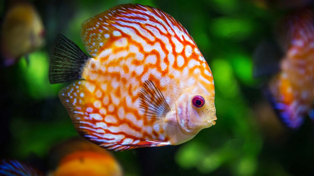 yacht-zoo-destinations-seychelles02