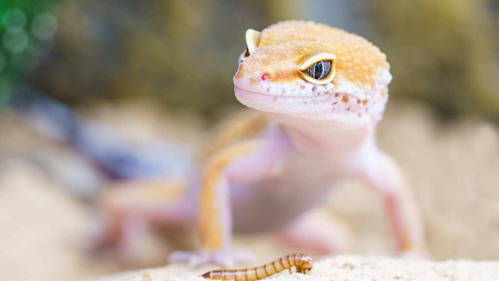 yacht-zoo-destinations-seychelles03