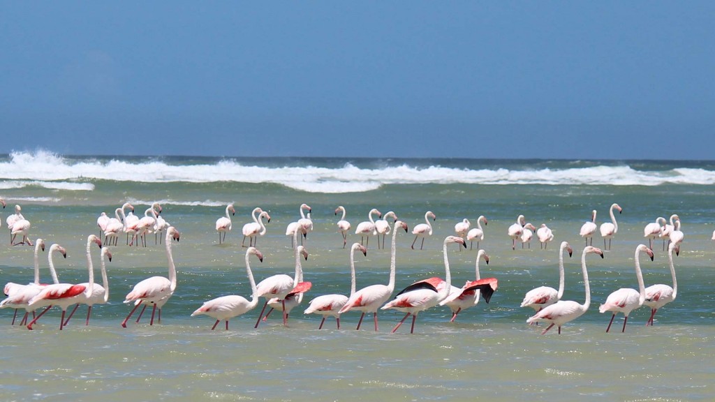 yacht-zoo-destinations-seychelles08