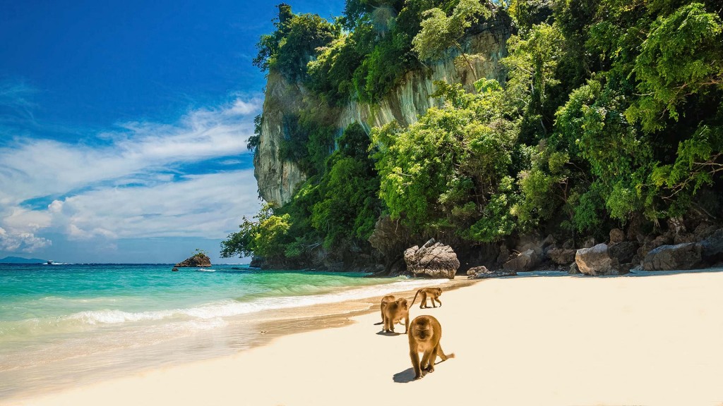 yacht-zoo-destinations-thailand04