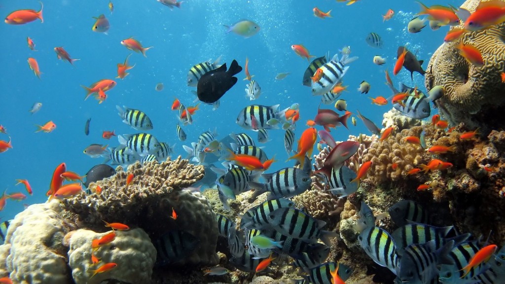 yacht-charter-grenada-004