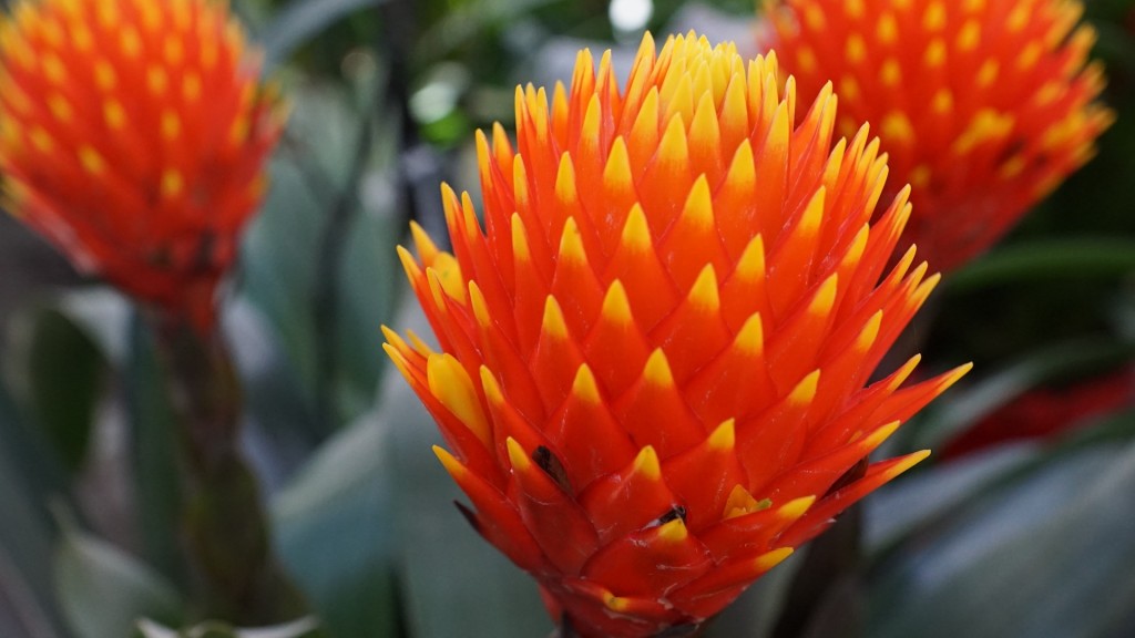 yacht-charter-st-vincent-grenadines-006