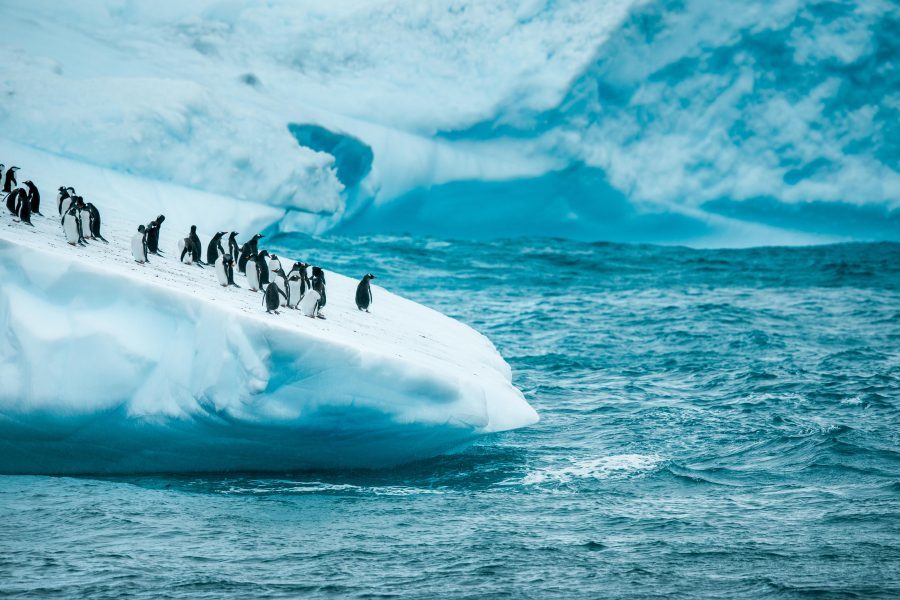 Experience Antarctica's White Desert by Yacht | YACHTZOO