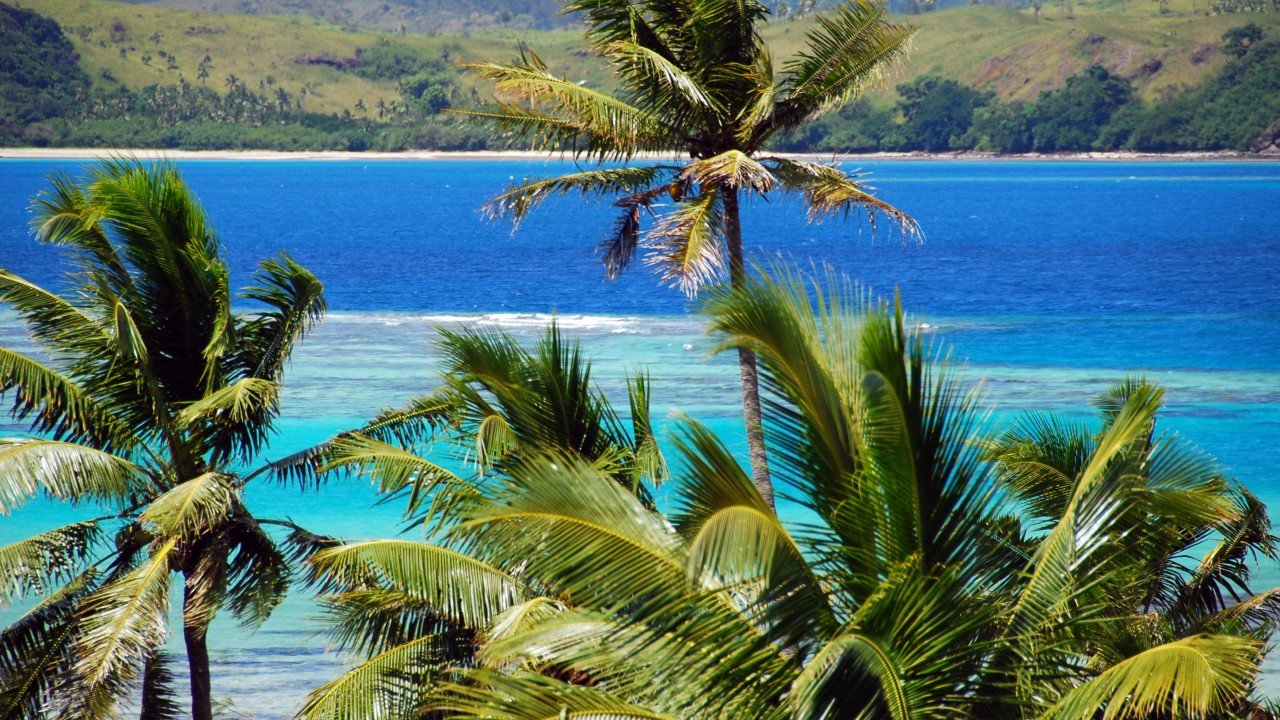 Tropical palm trees on a luxury yacht charter in Fiji