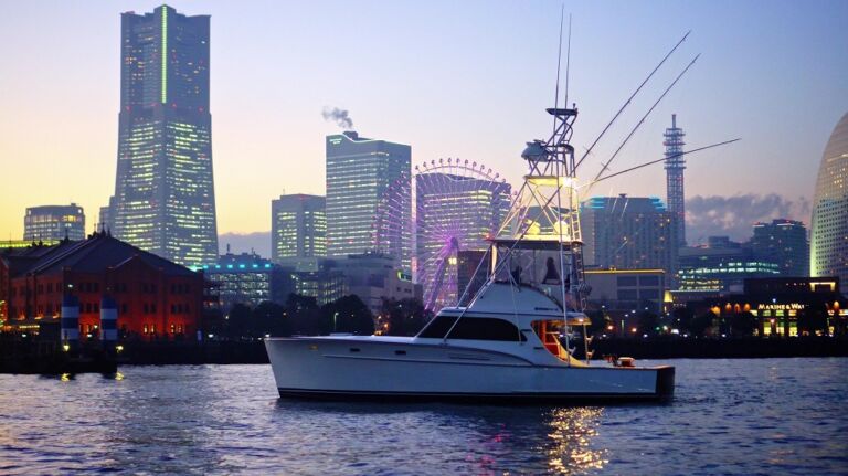 TWENTY ' Rybovich Sportfisher for sale ()