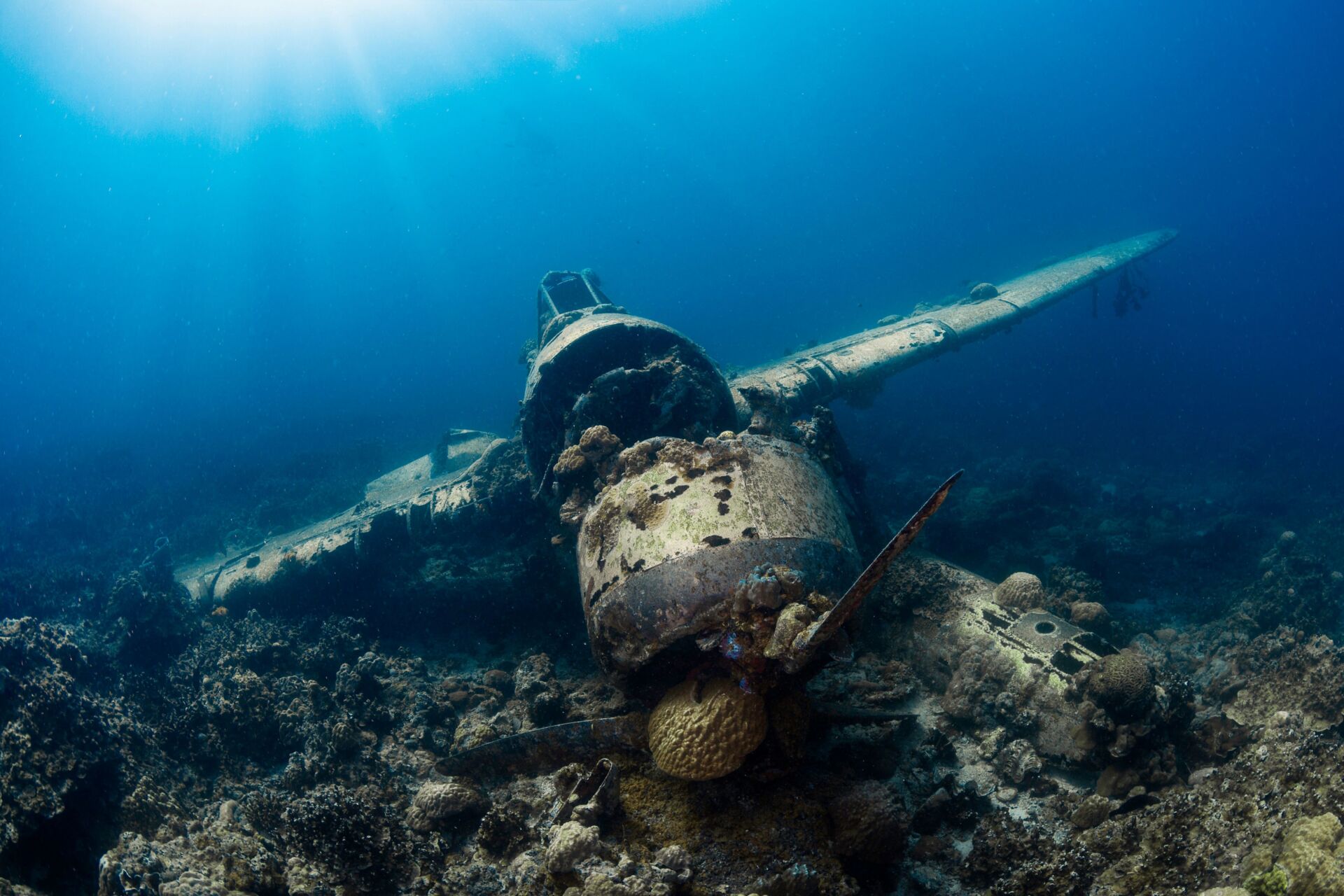 Palau by Yacht: A Journey Through the Jewel of the Pacific