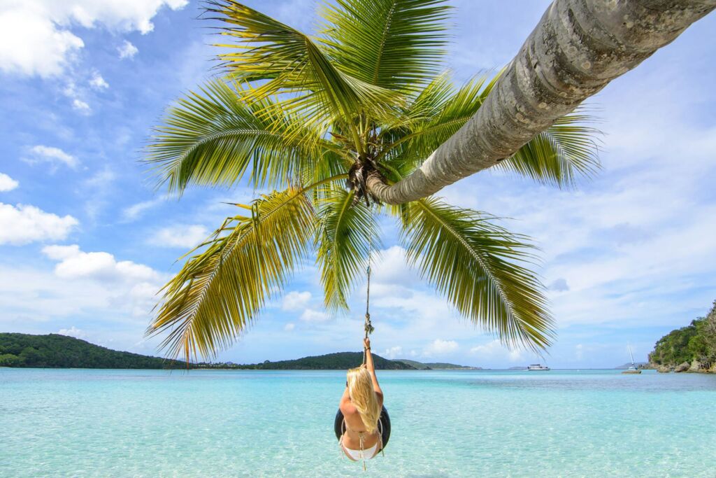 Coconut tree swing wade pJZAMtiCeXU unsplash