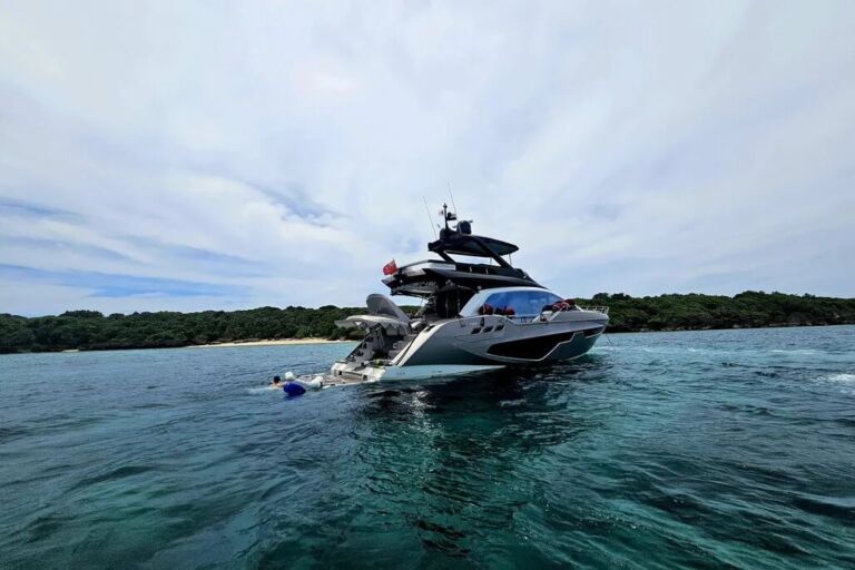 sessa gullwing fly power