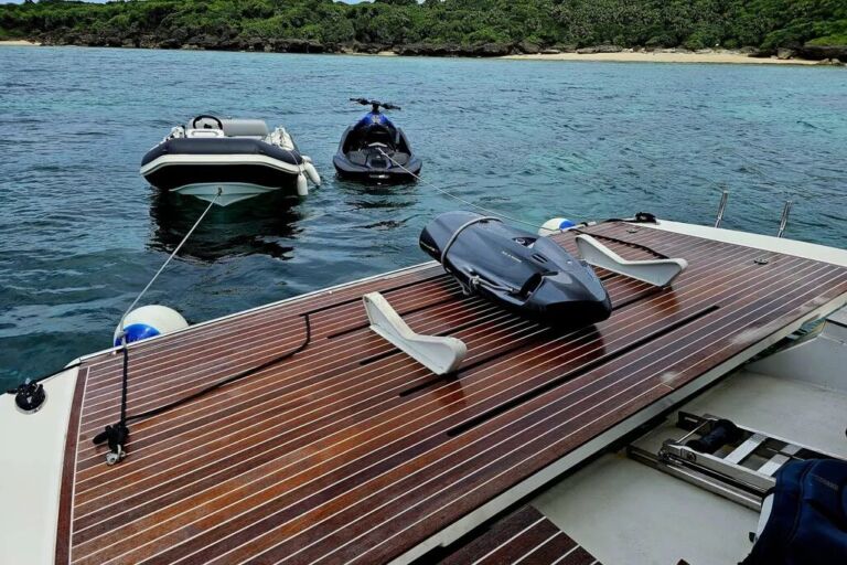 sessa gullwing fly power