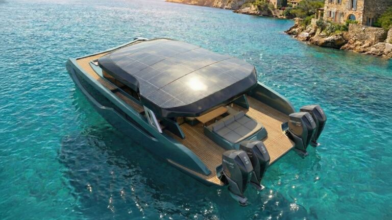 ' Panthera profiles () fire wide