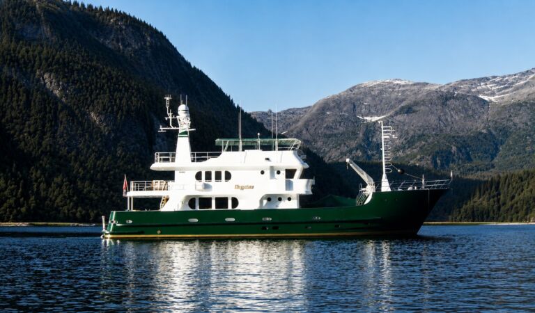 IMPETUS Explorer