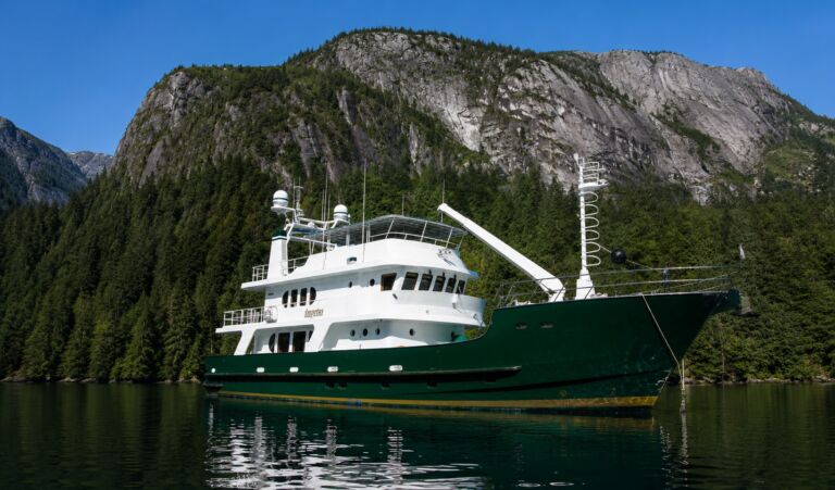 IMPETUS Inace Explorer